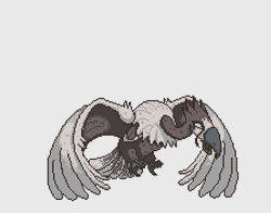 Gif animé vautour vole